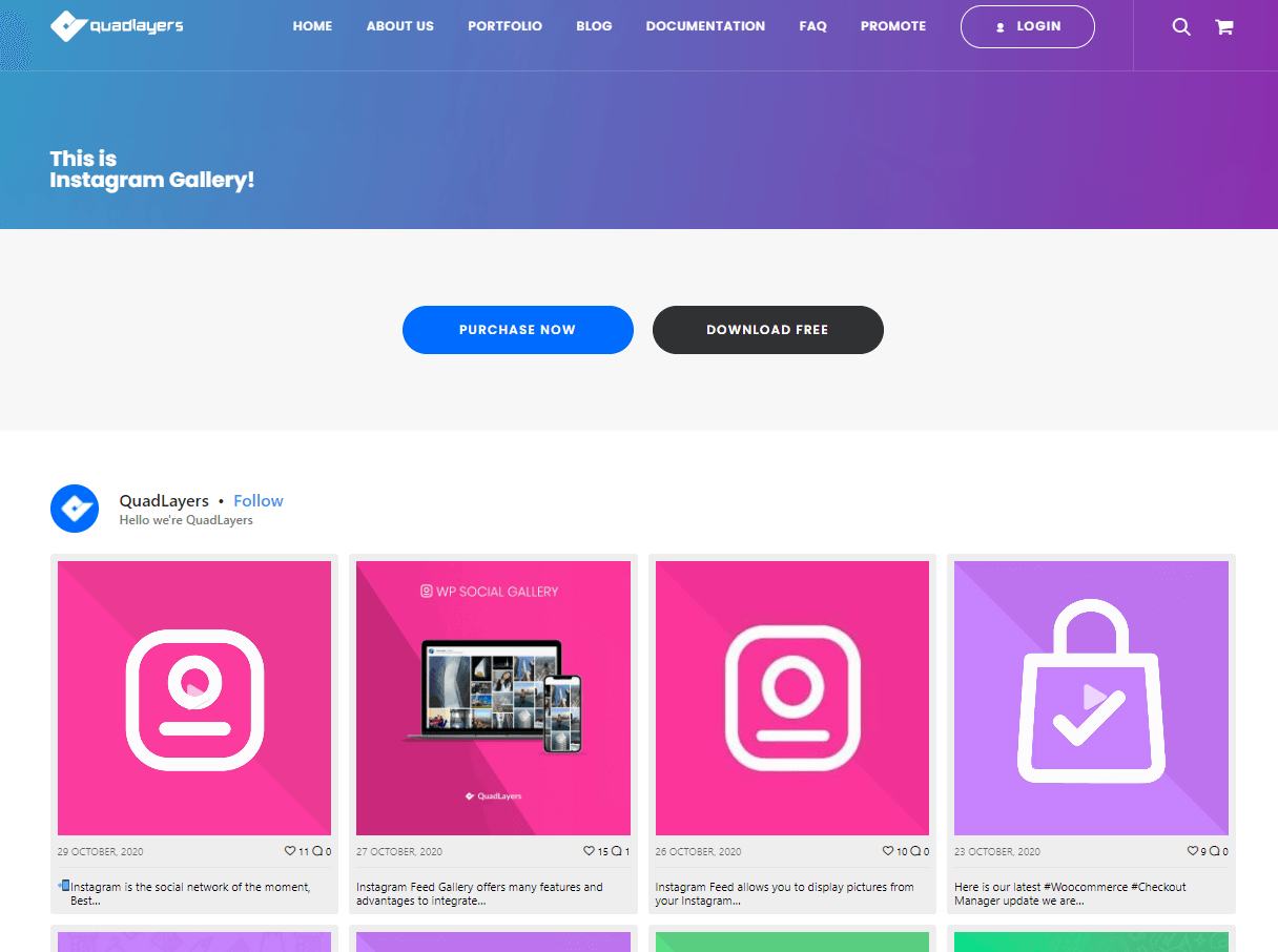  Social Feed Gallery best free wordpress intagram plugins